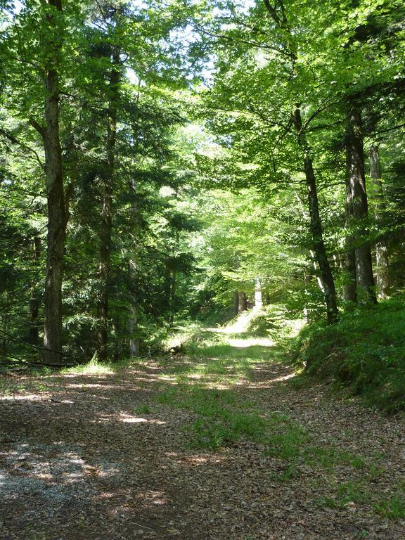 Gasthaus Zum Schwanen Uehlingen-Birkendorf Luaran gambar